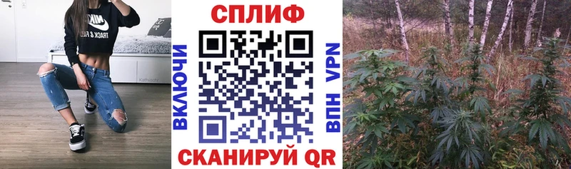 купить наркоту  Богородск  Бошки марихуана тримм 